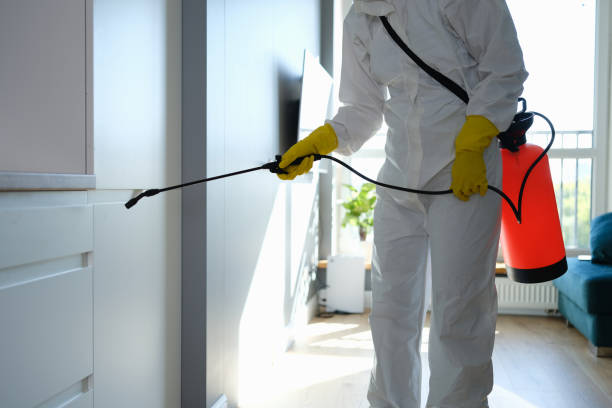 Best Mold Testing and Inspection Services in Hodgkins, IL